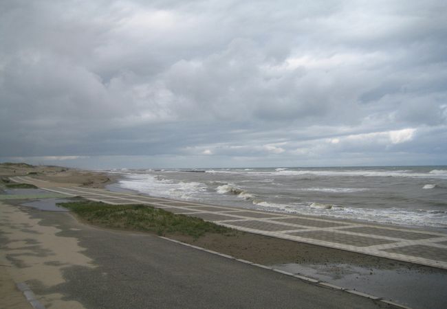 青山海岸海水浴場