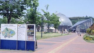 興味深い植物園