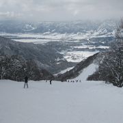 雪質が良く、コースも広い最高のゲレンデ