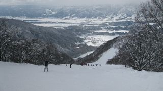 雪質が良く、コースも広い最高のゲレンデ