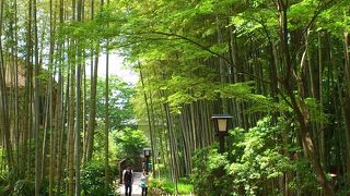 ゆっくり。のんびり。癒しの空間でした