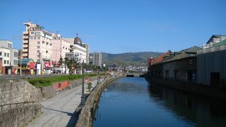 優雅な雰囲気を醸し出しています