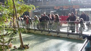 植物園みたいな駅