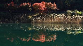 紅葉が綺麗！！