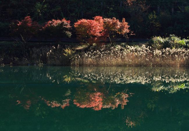 紅葉が綺麗！！