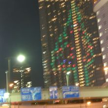 ツリーの形。（この写真は2010年11月のものです）