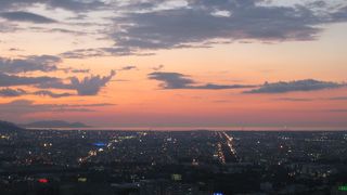 夕方がおすすめ