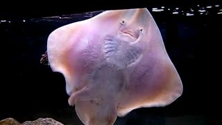 新潟駅からバスで２０分