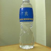 ホテルのロゴ入りの水が用意されている