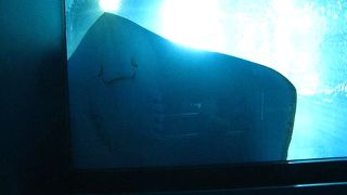 エイの遊泳！？