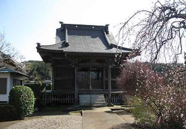 安房国分寺　謎の多い国分寺