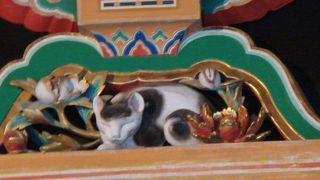 意味がわからずとりあえず写真を撮ってました