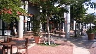 沖縄でアウトレットを楽しむ「あしぴなー」