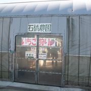 石橋農園 クチコミ アクセス 営業時間 袖ヶ浦 フォートラベル 石橋農園 クチコミ アクセス 営業時間 袖ヶ浦 フォートラベル