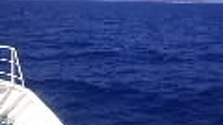 那覇から気軽に行けるビーチ　渡嘉敷島