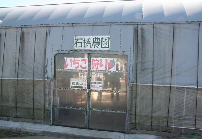 石橋農園 クチコミ アクセス 営業時間 袖ヶ浦 フォートラベル