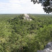 メキシコ19世界遺産めぐり～カンペチェより山ん中へカラクムル遺跡～