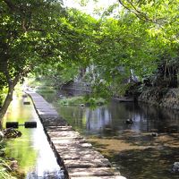 源兵衛川散歩道