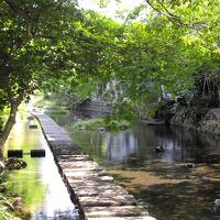 源兵衛川水辺の道