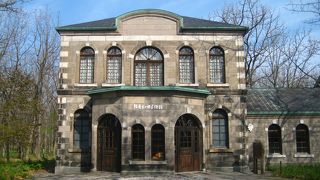 見るものを惹きつける魅力があります。