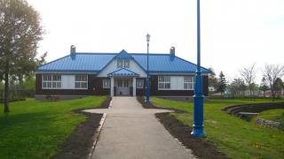 たんぽぽの花が満開でした。