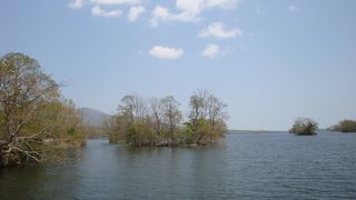 それなりに健脚であること