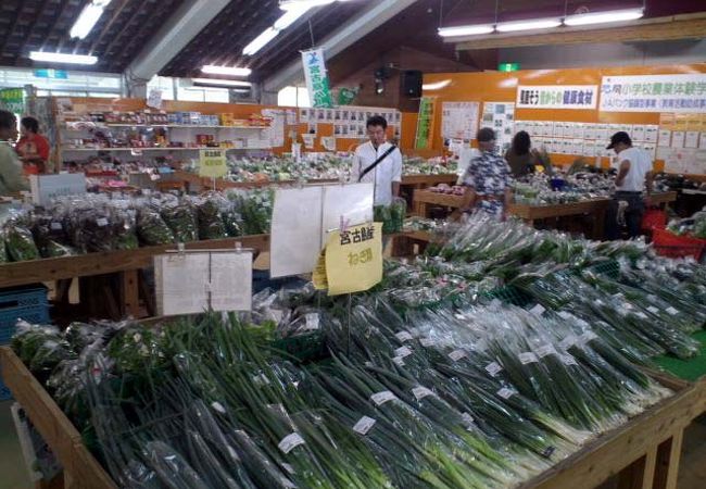 野菜は半分以上が100円です！