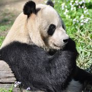 北京動物園
