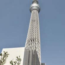 スカイツリー！！
