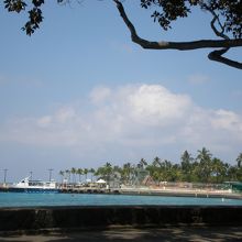 パレスのラナイから見た景色