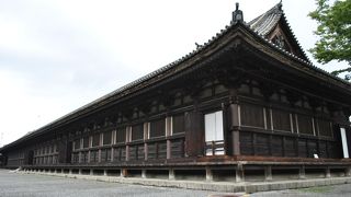 千手観音がいっぱい