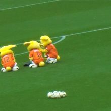 ぱるちゃんかわいい(2011.12撮影)