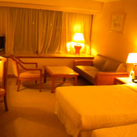 けっこう広々としたゲストルーム