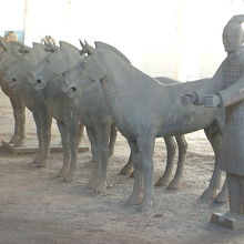 昔は実際に近くで見ることができましたが、今回は望遠で。