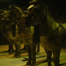 博物館の展示方法は、今風で美しいのが特徴です。