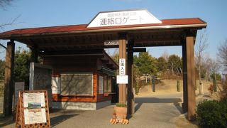 ２月下旬は花の季節としては早すぎるようです。