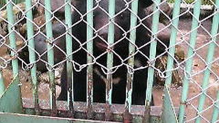 露天風呂が広い！