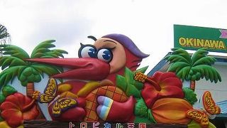 ゆっくり見たかった熱帯果樹園