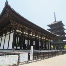 興福寺　東金堂・五重塔　2012年