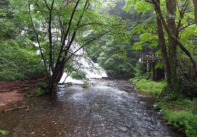 滝からの流れも清流で美しい