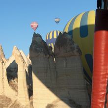 こんなに近くに見られます！