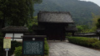 山口県庁の目の前に突如！！！