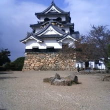 堂々とした彦根城　天守閣　国宝です