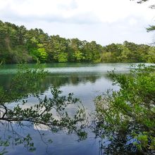 県道からも見えます。