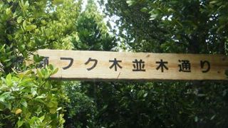 静かですがすがしい場所です