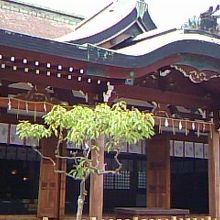 今宮戎神社の本殿