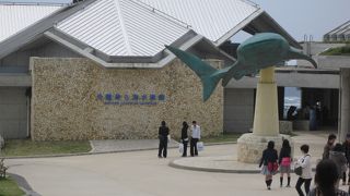 沖縄でNo.1のスポットです