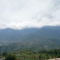 テラスからの眺め