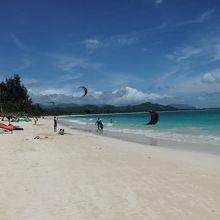 この日は風が強くてカイト