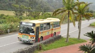 西表島の路線バス